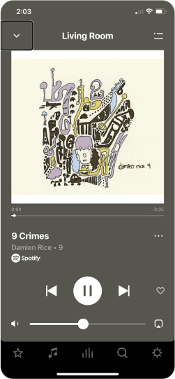 The image is a screenshot showing an example of the Now Playing screen in the Sonos app.